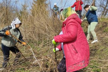 �������� ������������� ������������