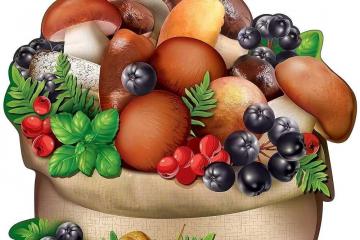 ������ ���� � ������